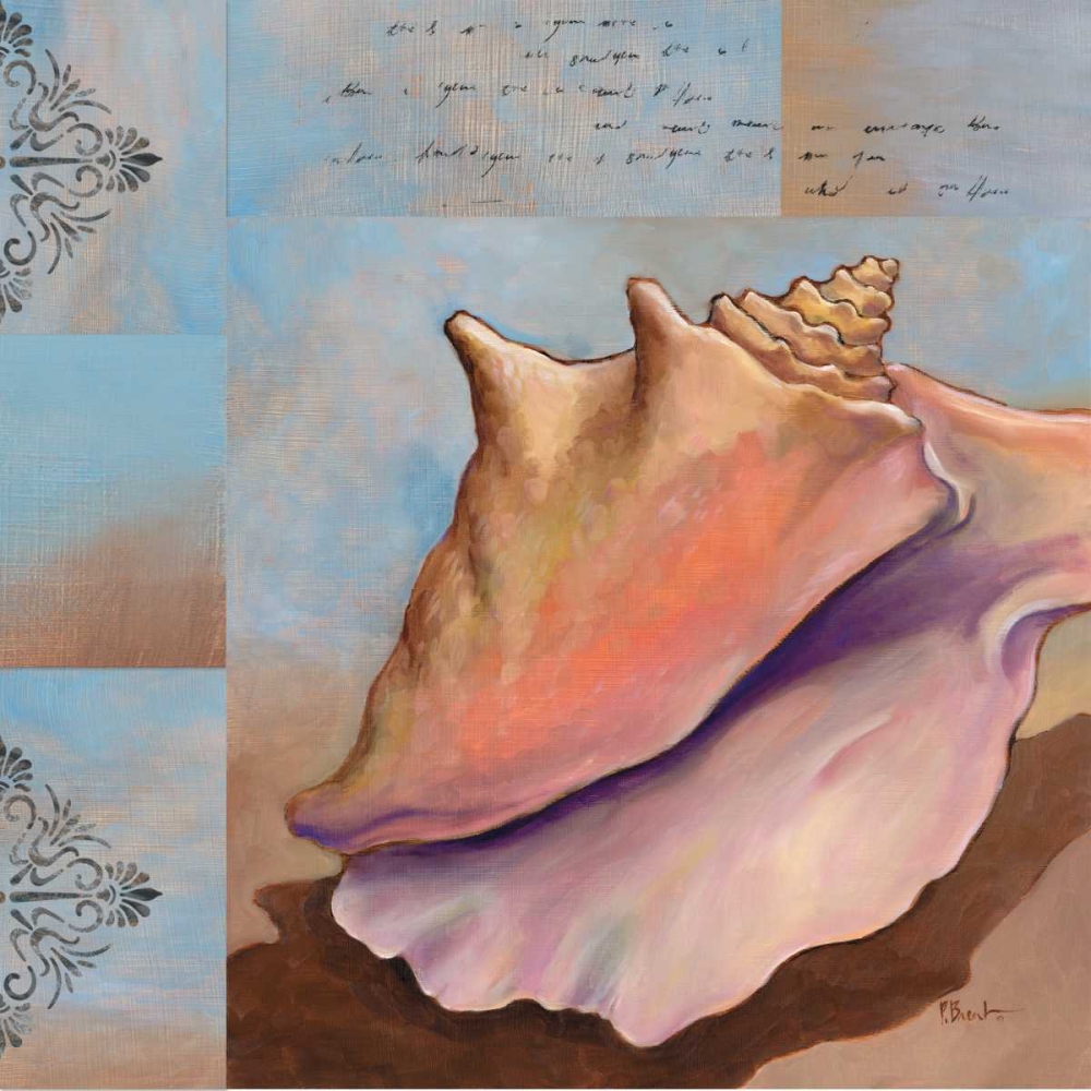 Sanibel Conch art print by Paul Brent for $57.95 CAD