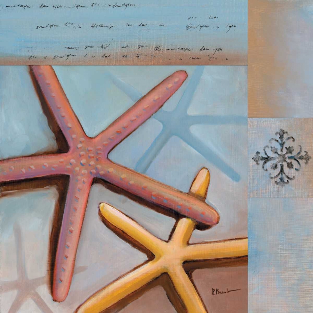 Sanibel Starfish art print by Paul Brent for $57.95 CAD