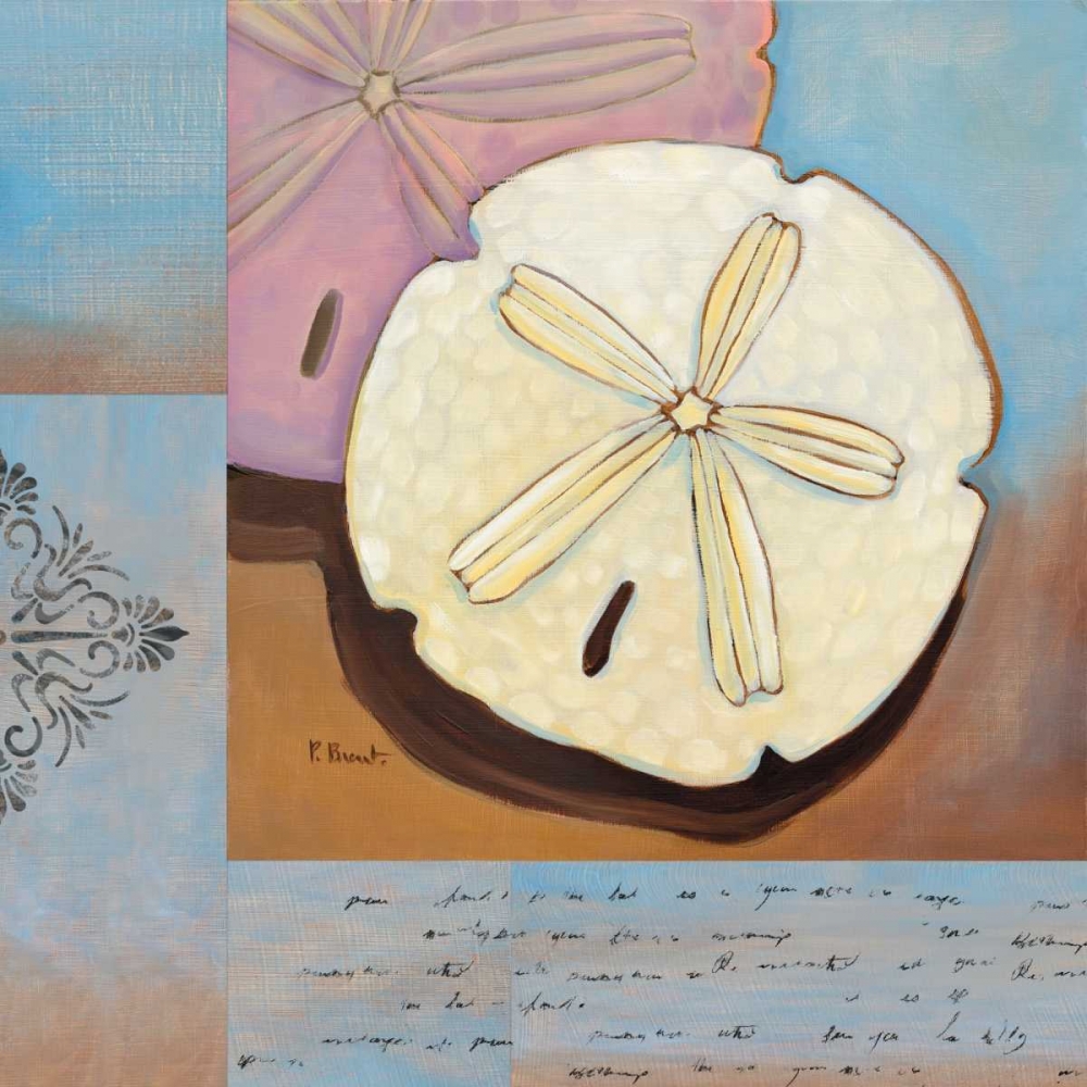 Sanibel Sand Dollar art print by Paul Brent for $57.95 CAD