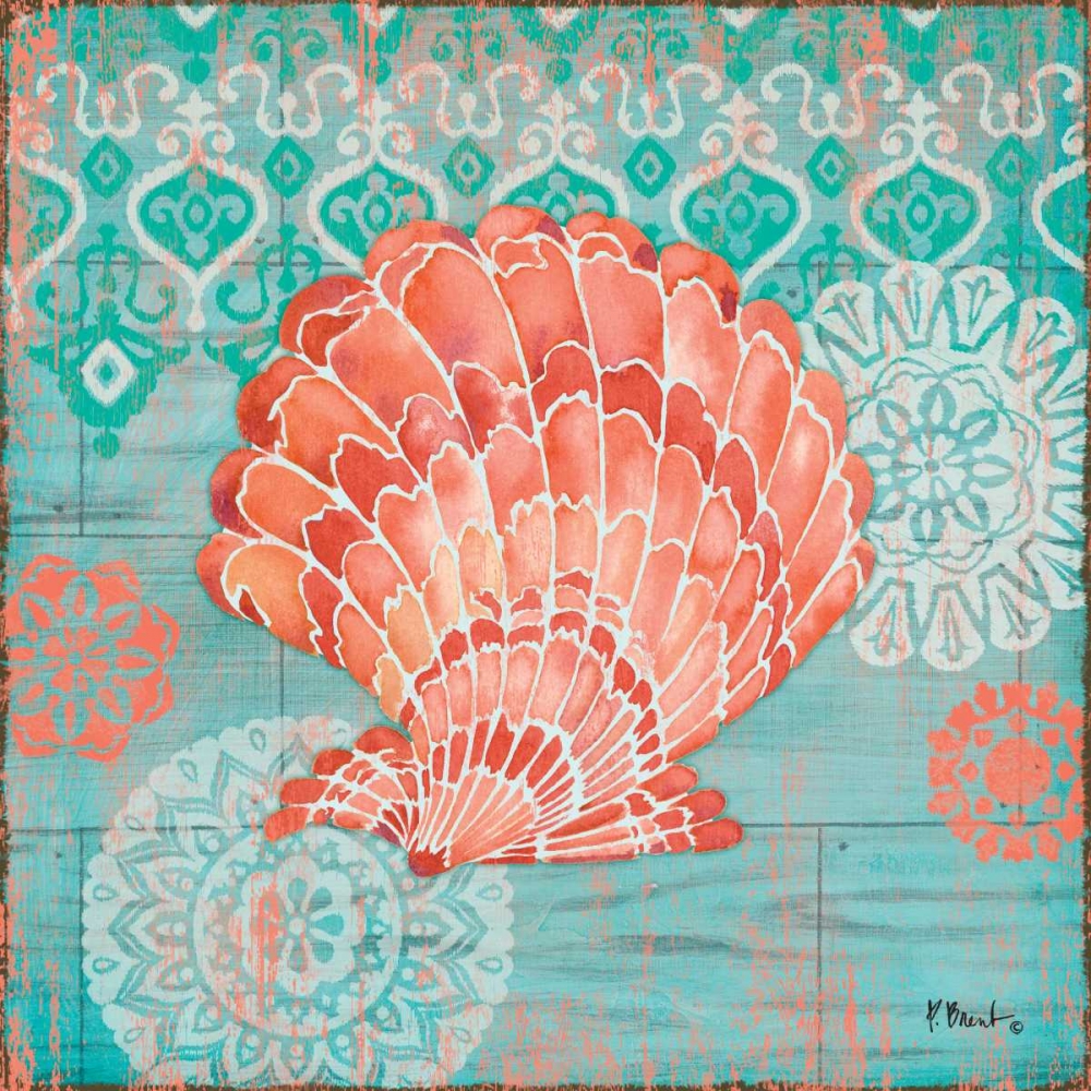 Coral Cove Shells I art print by Paul Brent for $57.95 CAD