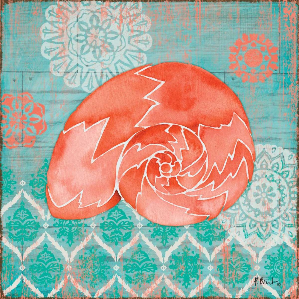 Coral Cove Shells III art print by Paul Brent for $57.95 CAD