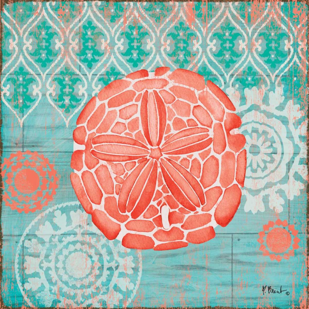 Coral Cove Shells IV art print by Paul Brent for $57.95 CAD