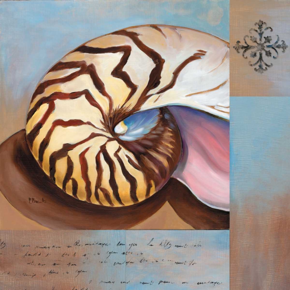 Sanibel Nautilus art print by Paul Brent for $57.95 CAD