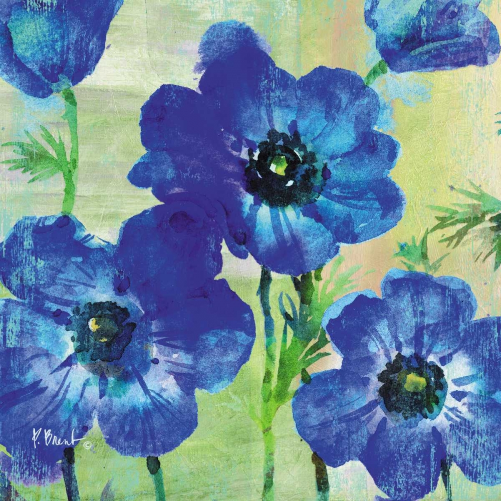 Amalfi Anemonies art print by Paul Brent for $57.95 CAD