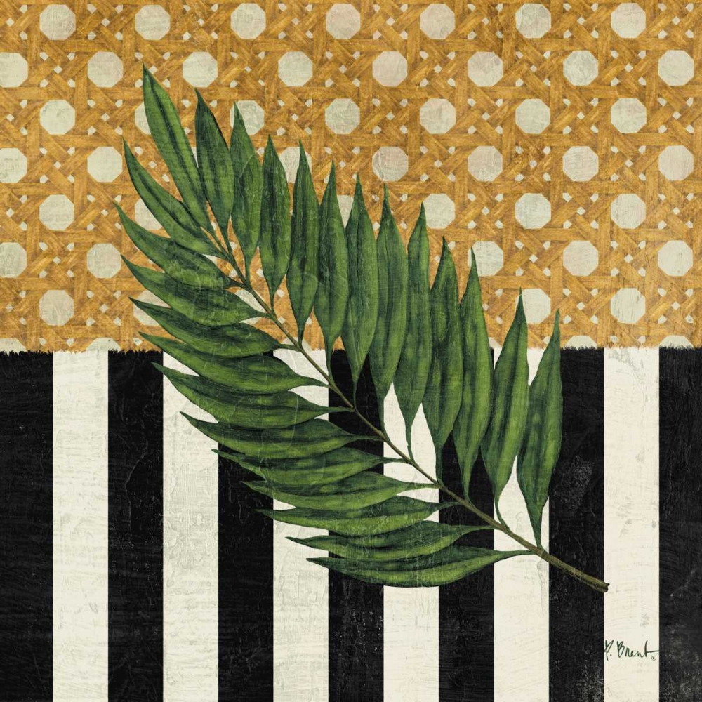 Knox Palm Fronds IV art print by Paul Brent for $57.95 CAD