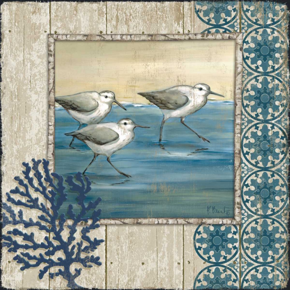 Sandpiper Shore I art print by Paul Brent for $57.95 CAD