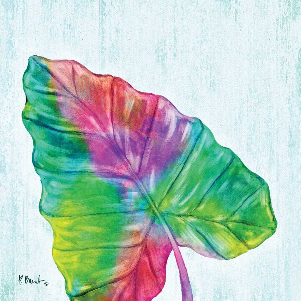 Prism Palm III art print by Paul Brent for $57.95 CAD