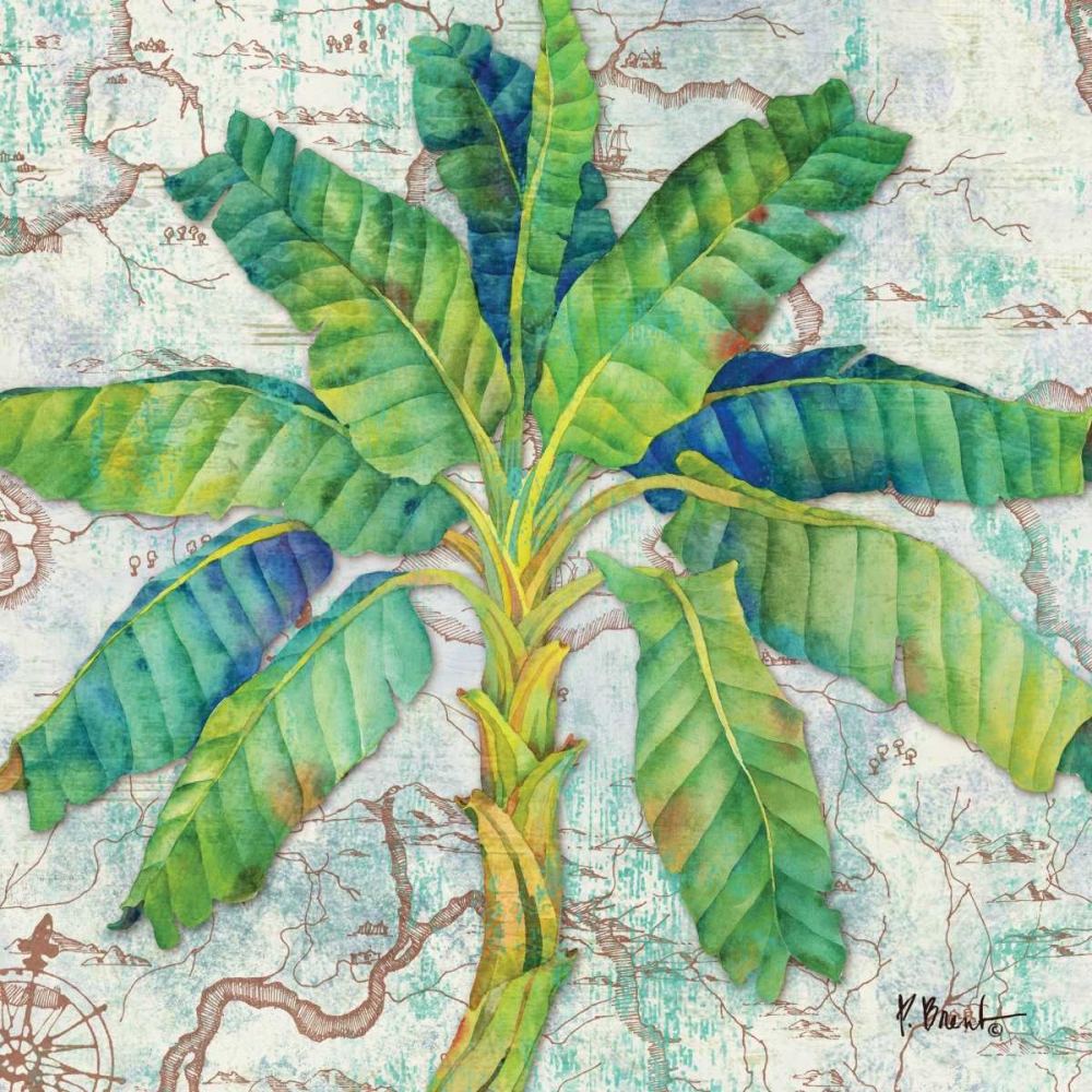 Aqueous Palm II art print by Paul Brent for $57.95 CAD