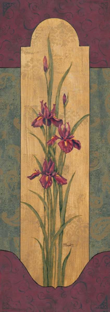 Greek Iris II art print by Paul Brent for $57.95 CAD