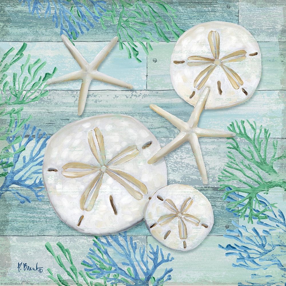 Clearwater Shells I art print by Paul Brent for $57.95 CAD