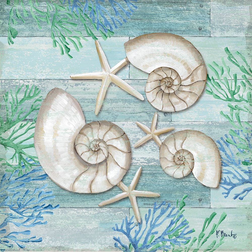 Clearwater Shells II art print by Paul Brent for $57.95 CAD