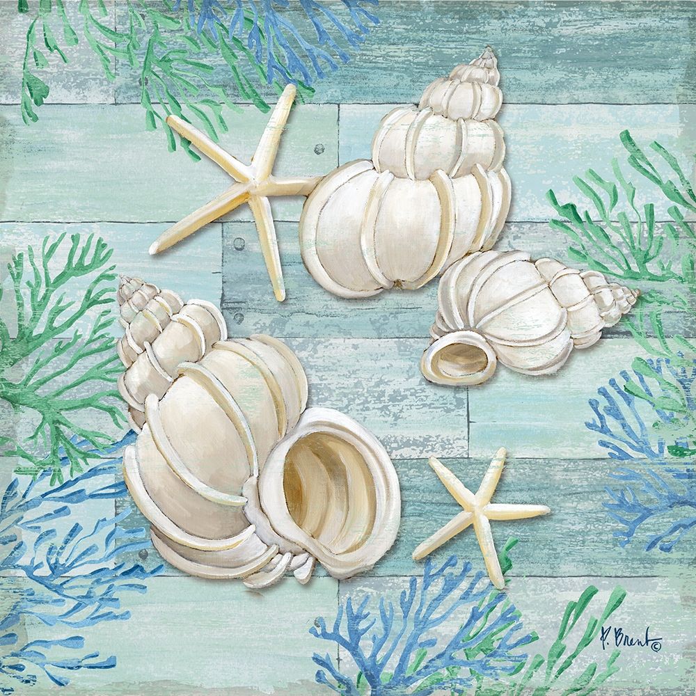 Clearwater Shells III art print by Paul Brent for $57.95 CAD