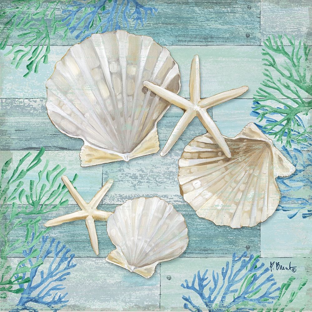 Clearwater Shells IV art print by Paul Brent for $57.95 CAD
