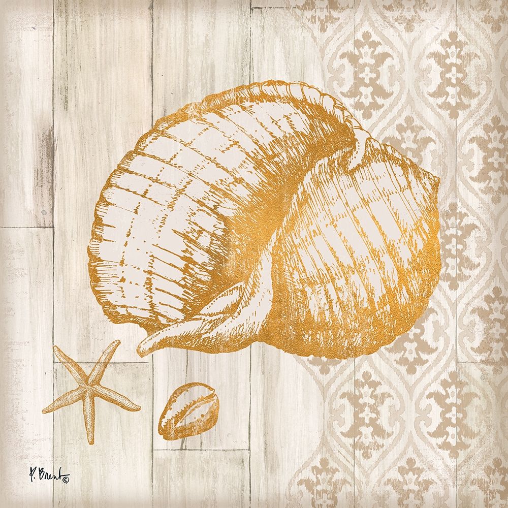 Saint Tropez Shells II art print by Paul Brent for $57.95 CAD