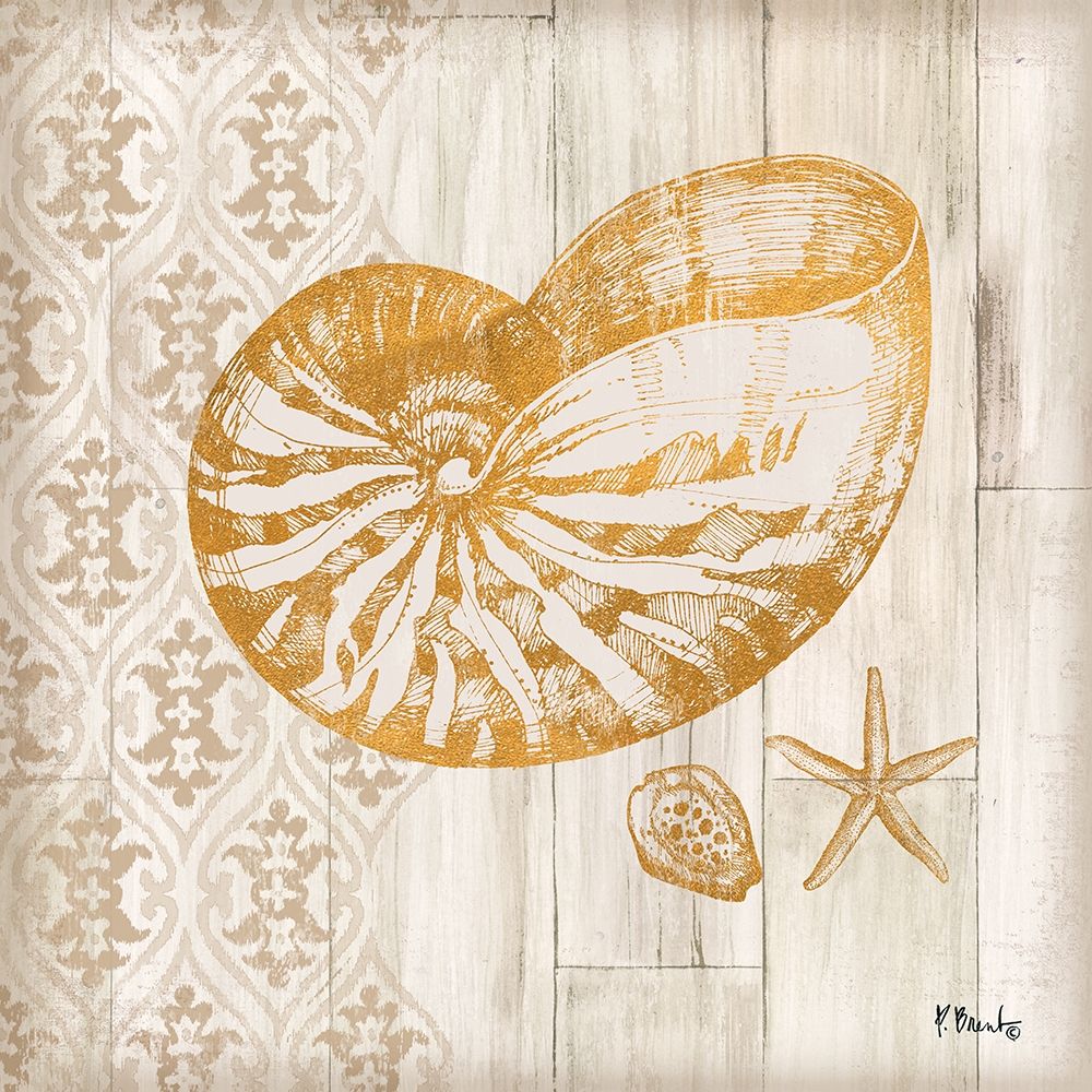 Saint Tropez Shells III art print by Paul Brent for $57.95 CAD
