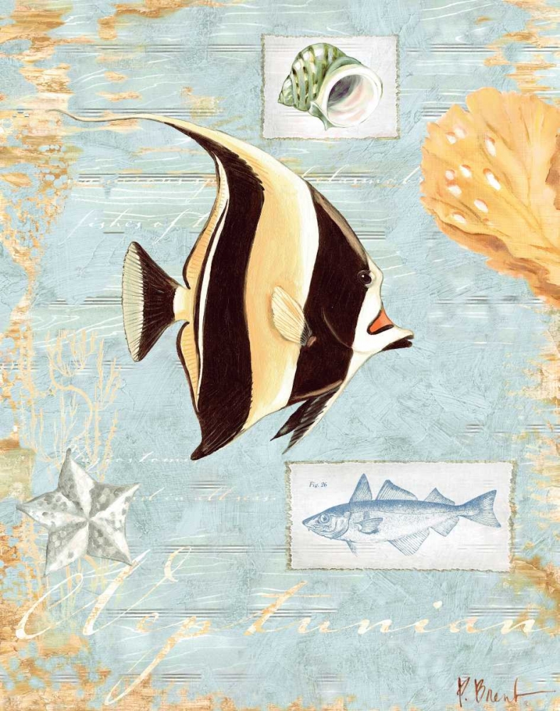 Neptunian art print by Paul Brent for $57.95 CAD