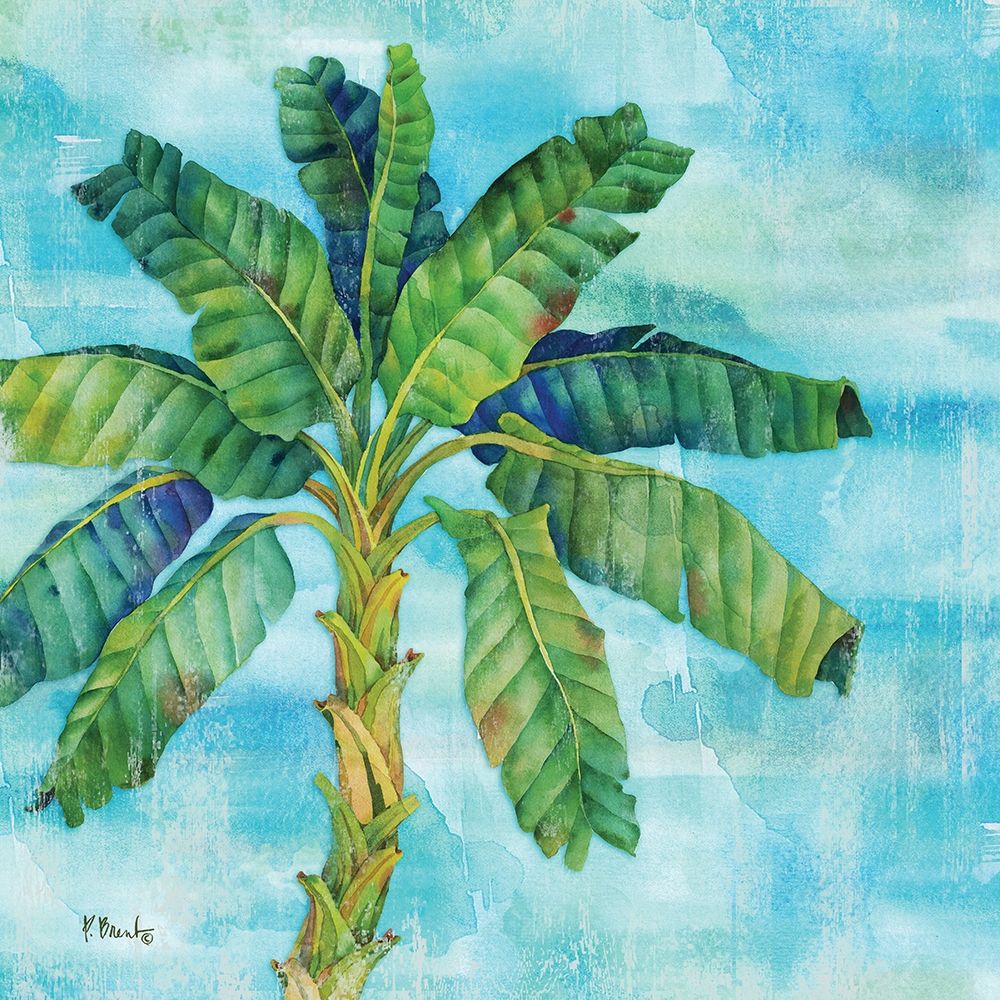 Arianna Palm I art print by Paul Brent for $57.95 CAD
