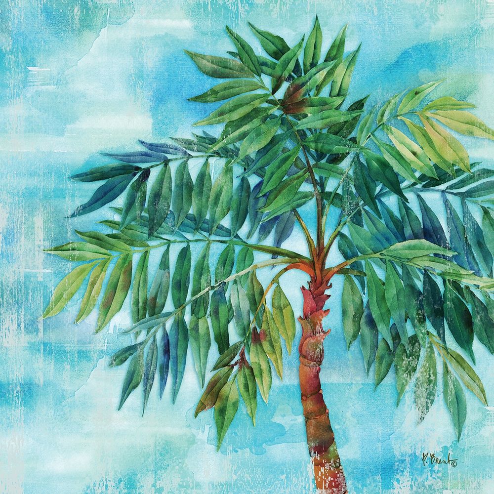 Arianna Palm II art print by Paul Brent for $57.95 CAD