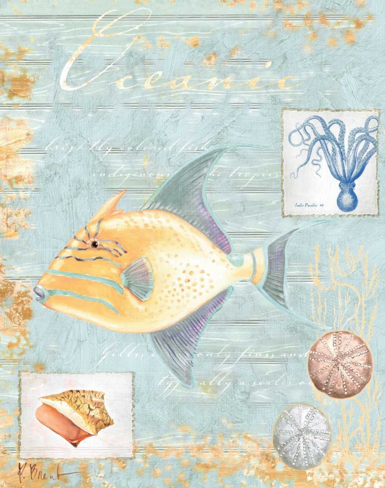 Oceanic art print by Paul Brent for $57.95 CAD