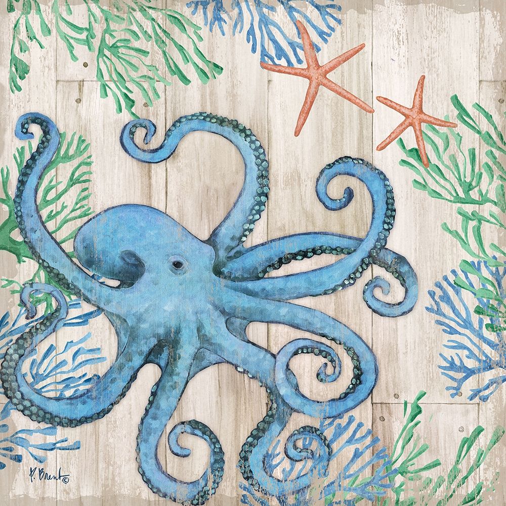 Clearwater Sealife I art print by Paul Brent for $57.95 CAD