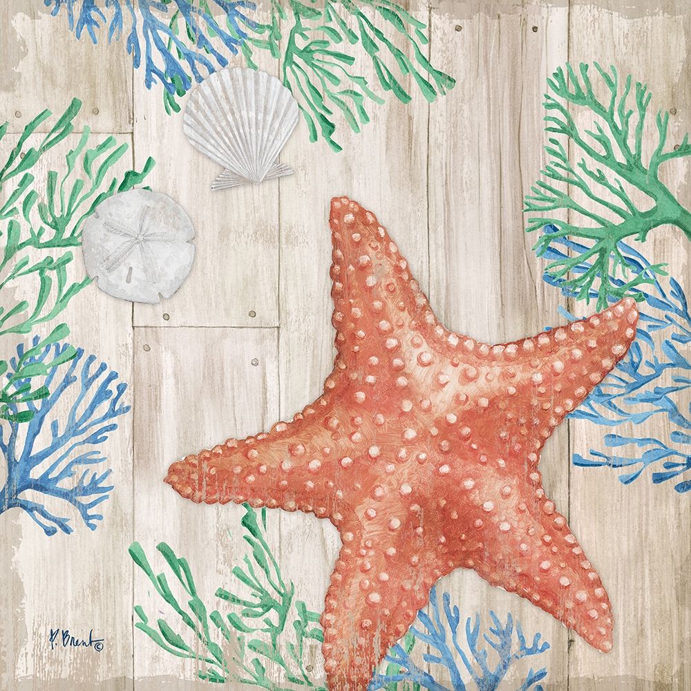Clearwater Sealife II art print by Paul Brent for $57.95 CAD