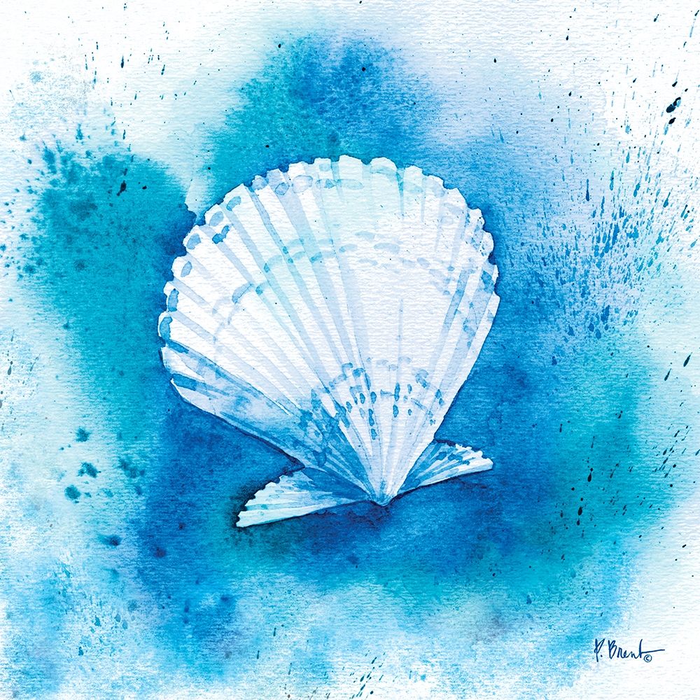 Aqueous Shells III art print by Paul Brent for $57.95 CAD