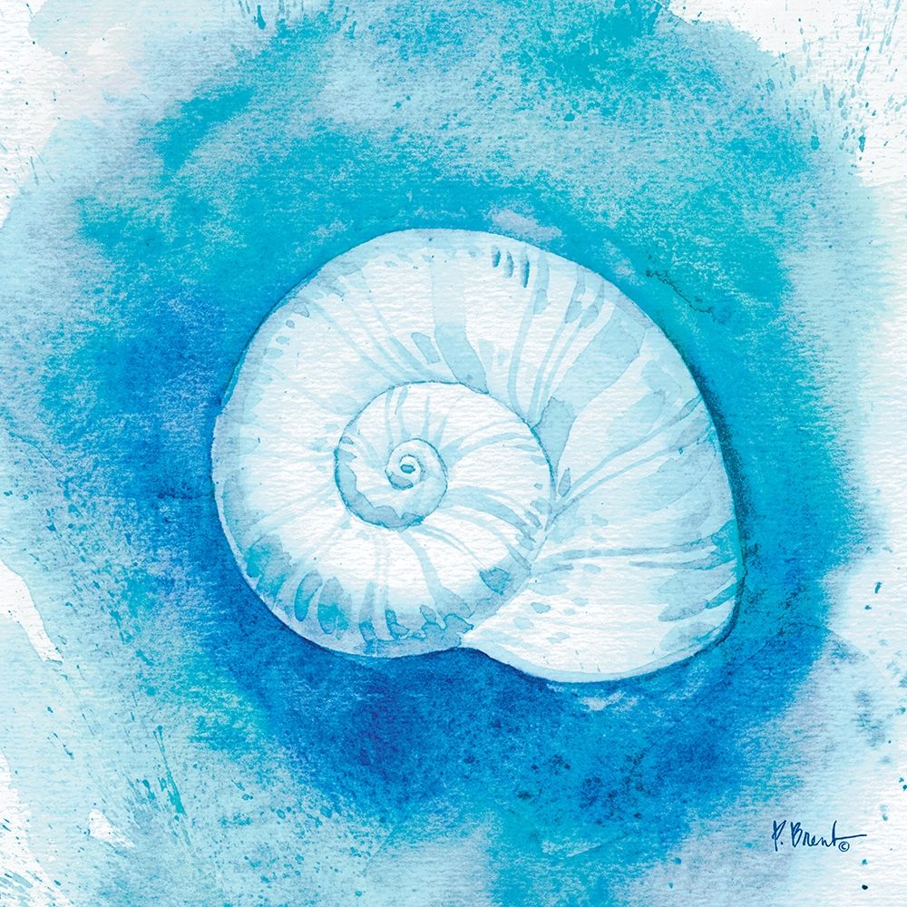 Aqueous Shells IV art print by Paul Brent for $57.95 CAD