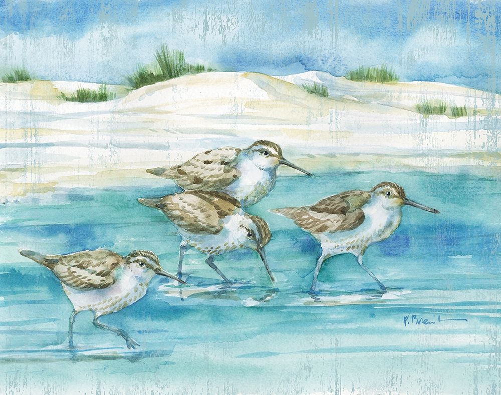 Sandy Sandpipers I art print by Paul Brent for $57.95 CAD