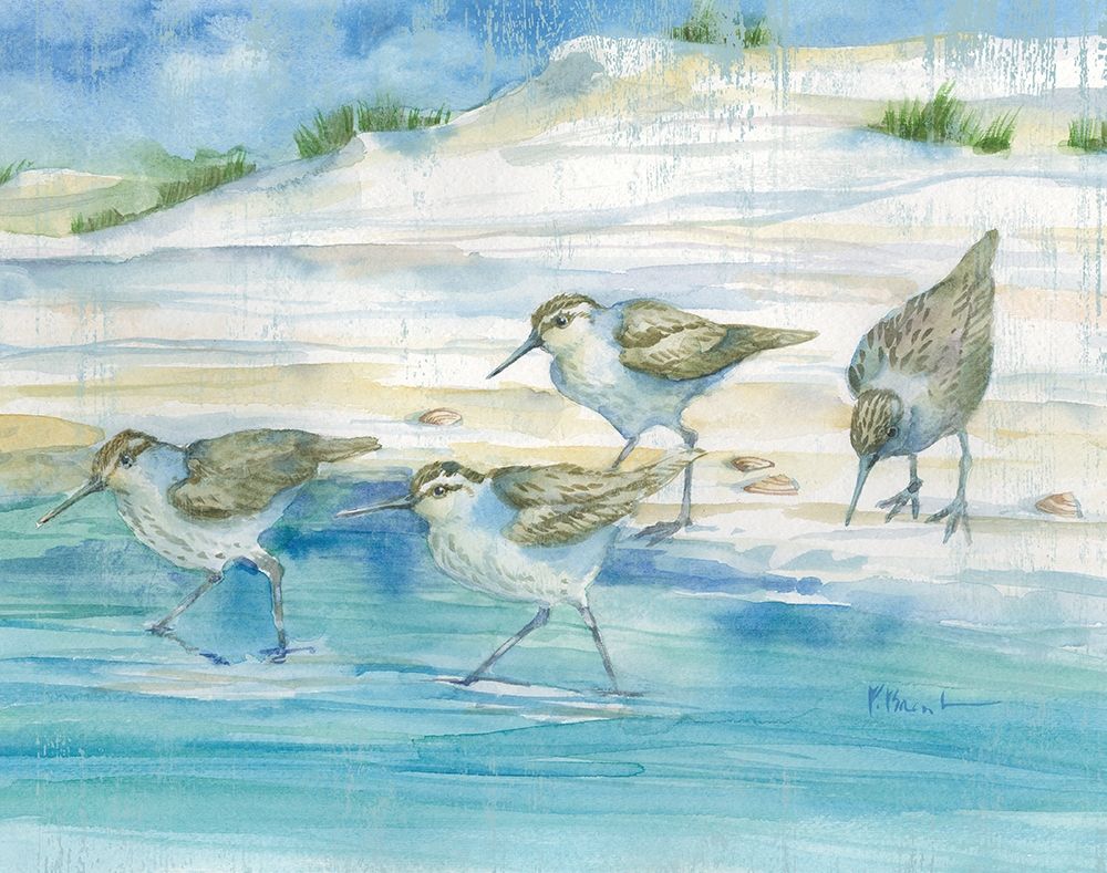 Sandy Sandpipers II art print by Paul Brent for $57.95 CAD