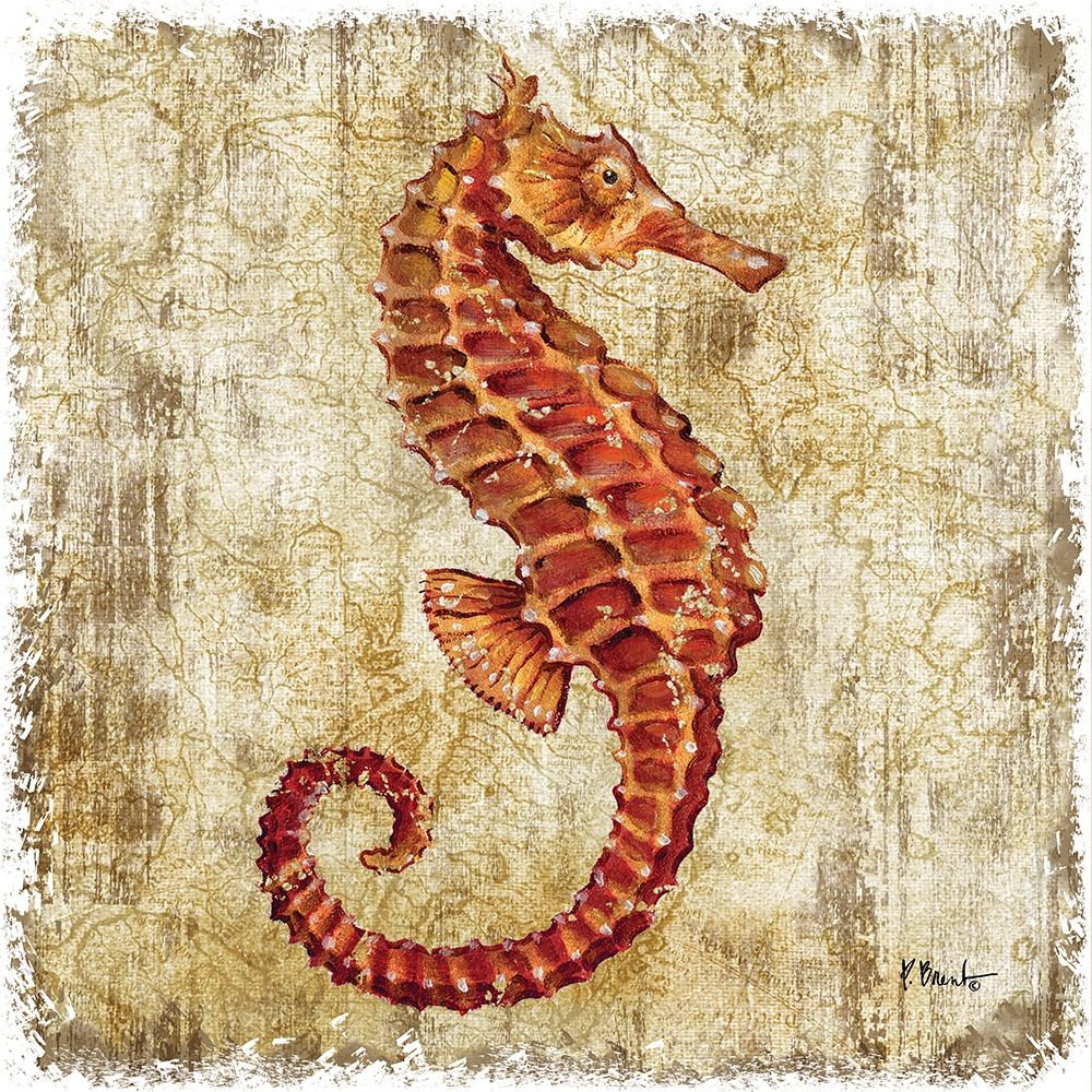 Saltwater Exploration II art print by Paul Brent for $57.95 CAD