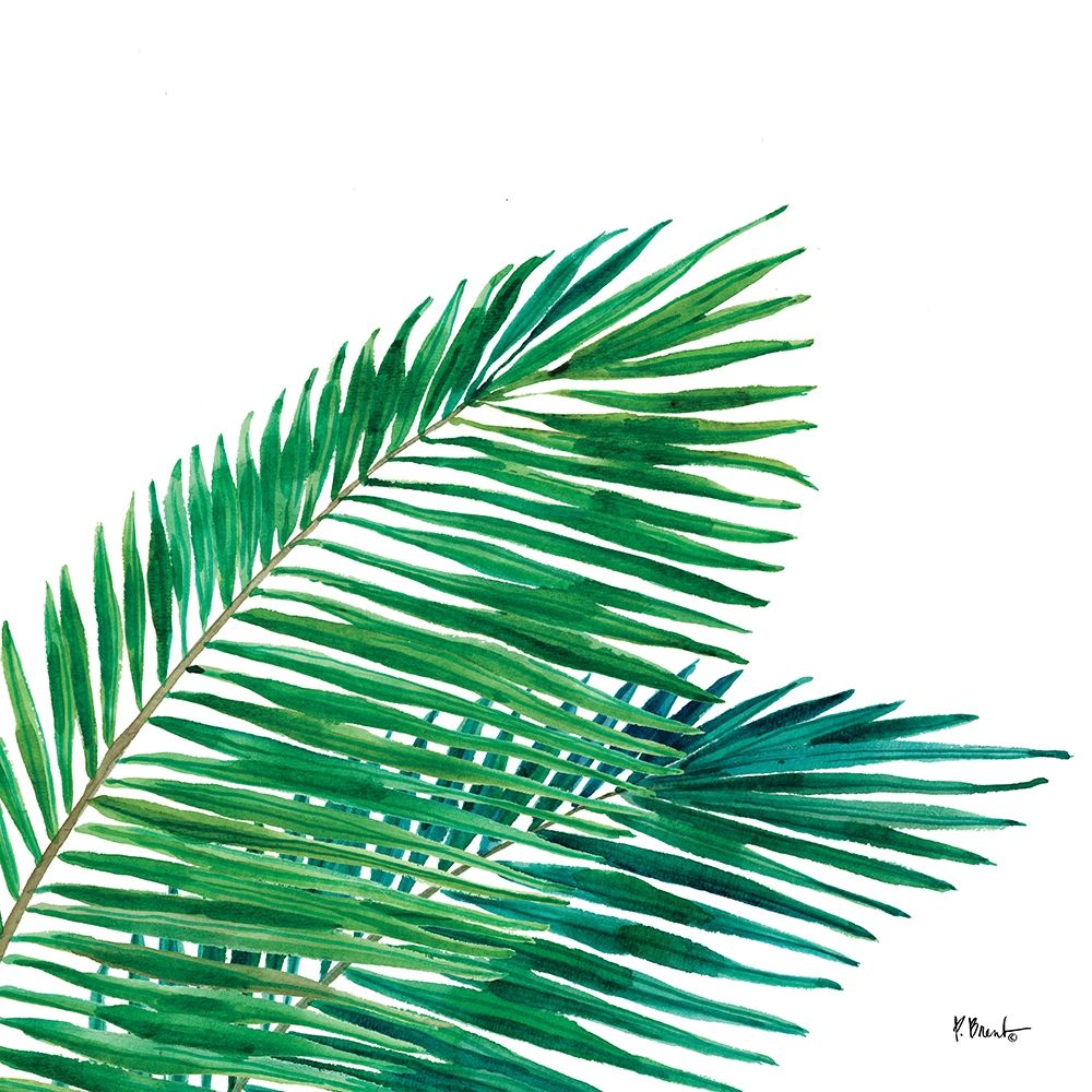 Palm Fronds I art print by Paul Brent for $57.95 CAD