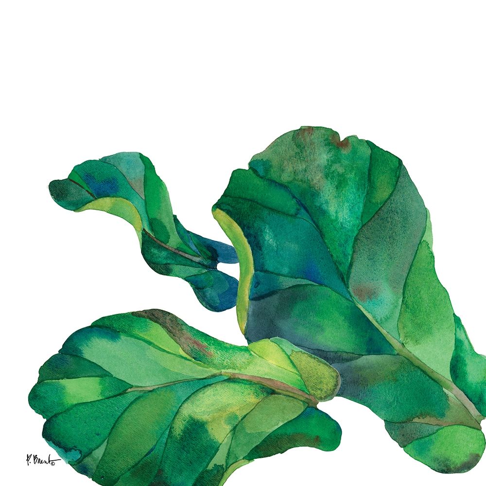 Palm Fronds II art print by Paul Brent for $57.95 CAD