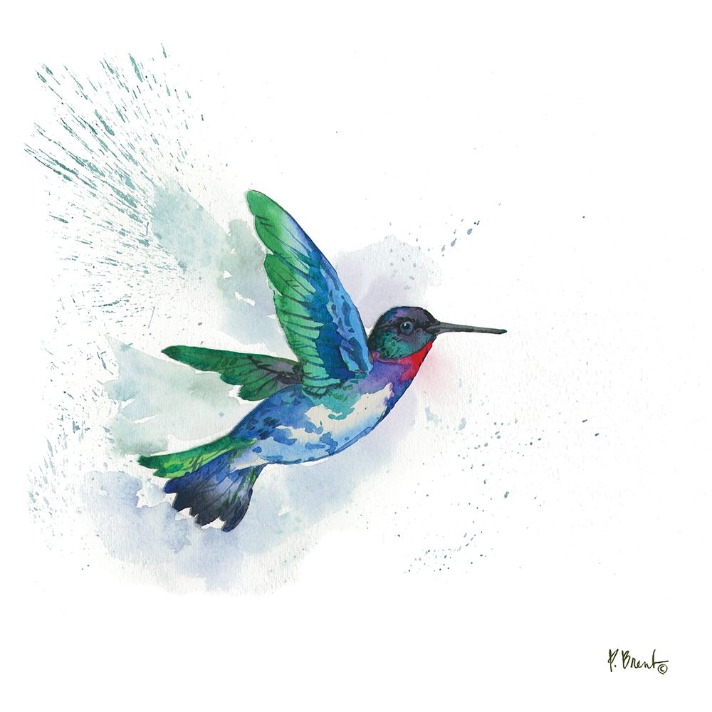 Arianna Hummingbird I art print by Paul Brent for $57.95 CAD