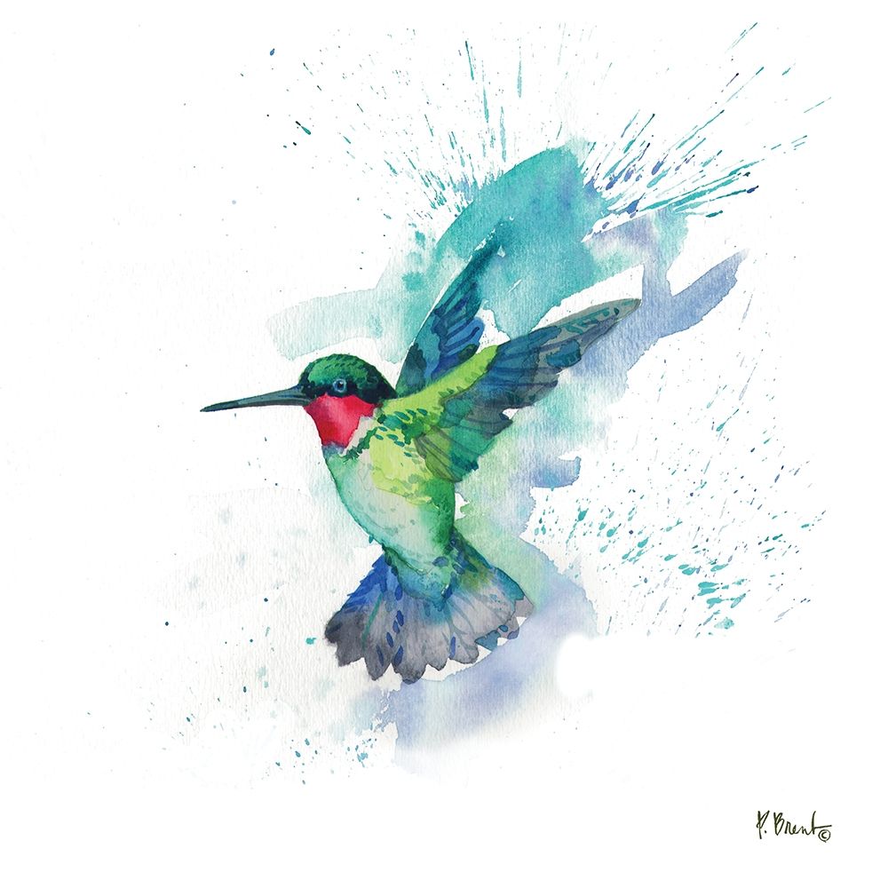 Arianna Hummingbird II art print by Paul Brent for $57.95 CAD