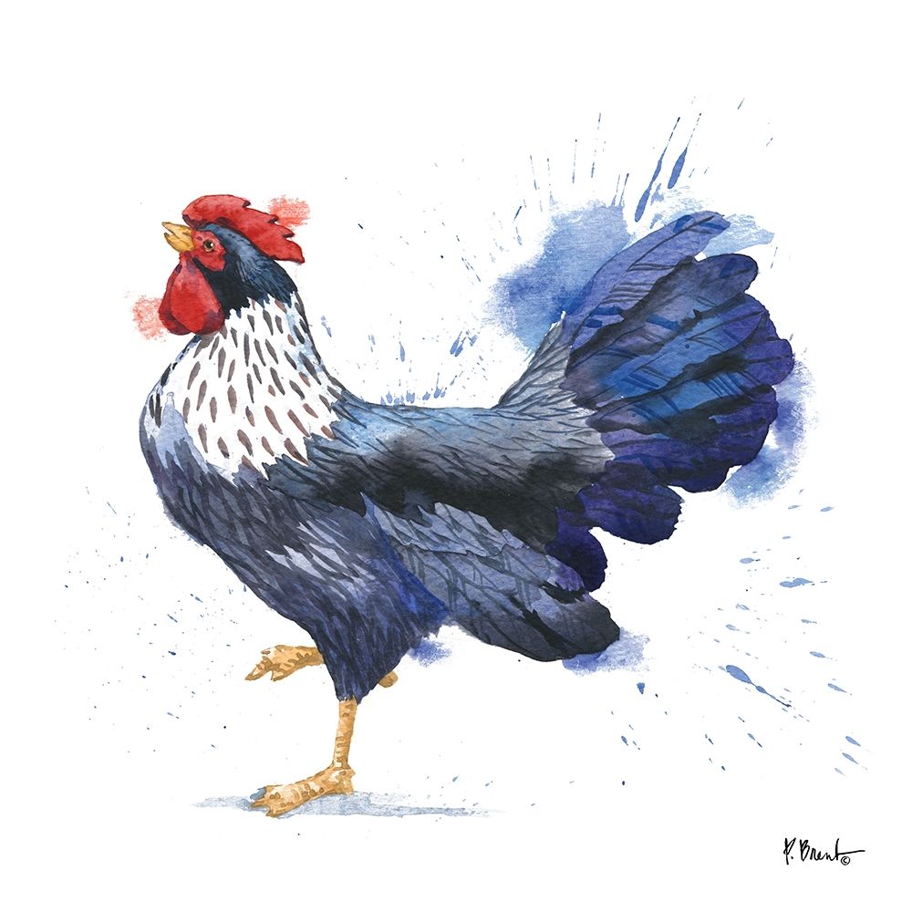 Arianna Rooster II art print by Paul Brent for $57.95 CAD