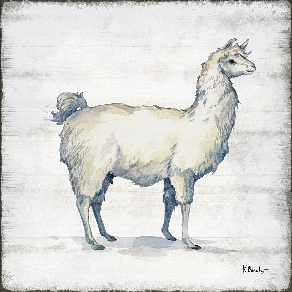 Farmhouse Llama I art print by Paul Brent for $57.95 CAD