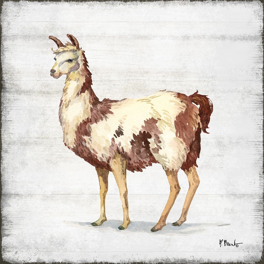 Farmhouse Llama II art print by Paul Brent for $57.95 CAD
