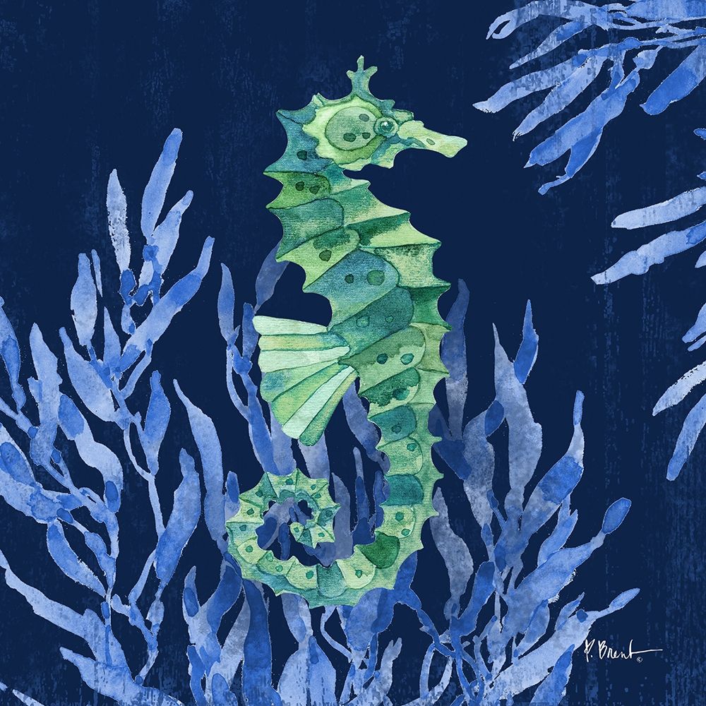 Bondi Sealife II art print by Paul Brent for $57.95 CAD