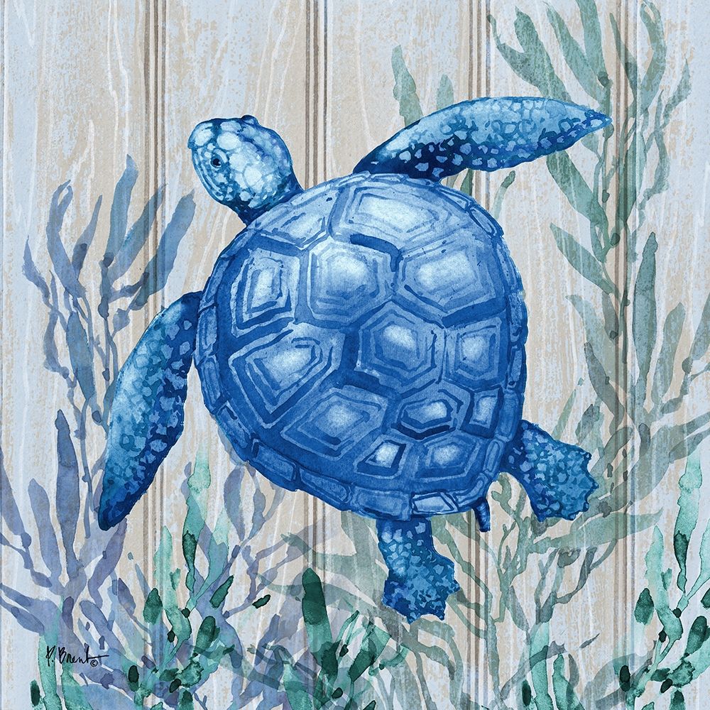 Navarre Sealife I art print by Paul Brent for $57.95 CAD