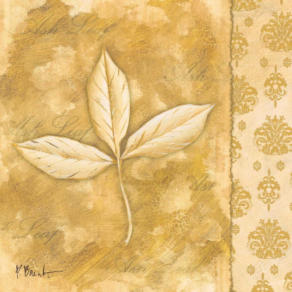 Leaf Oasis IV art print by Paul Brent for $57.95 CAD