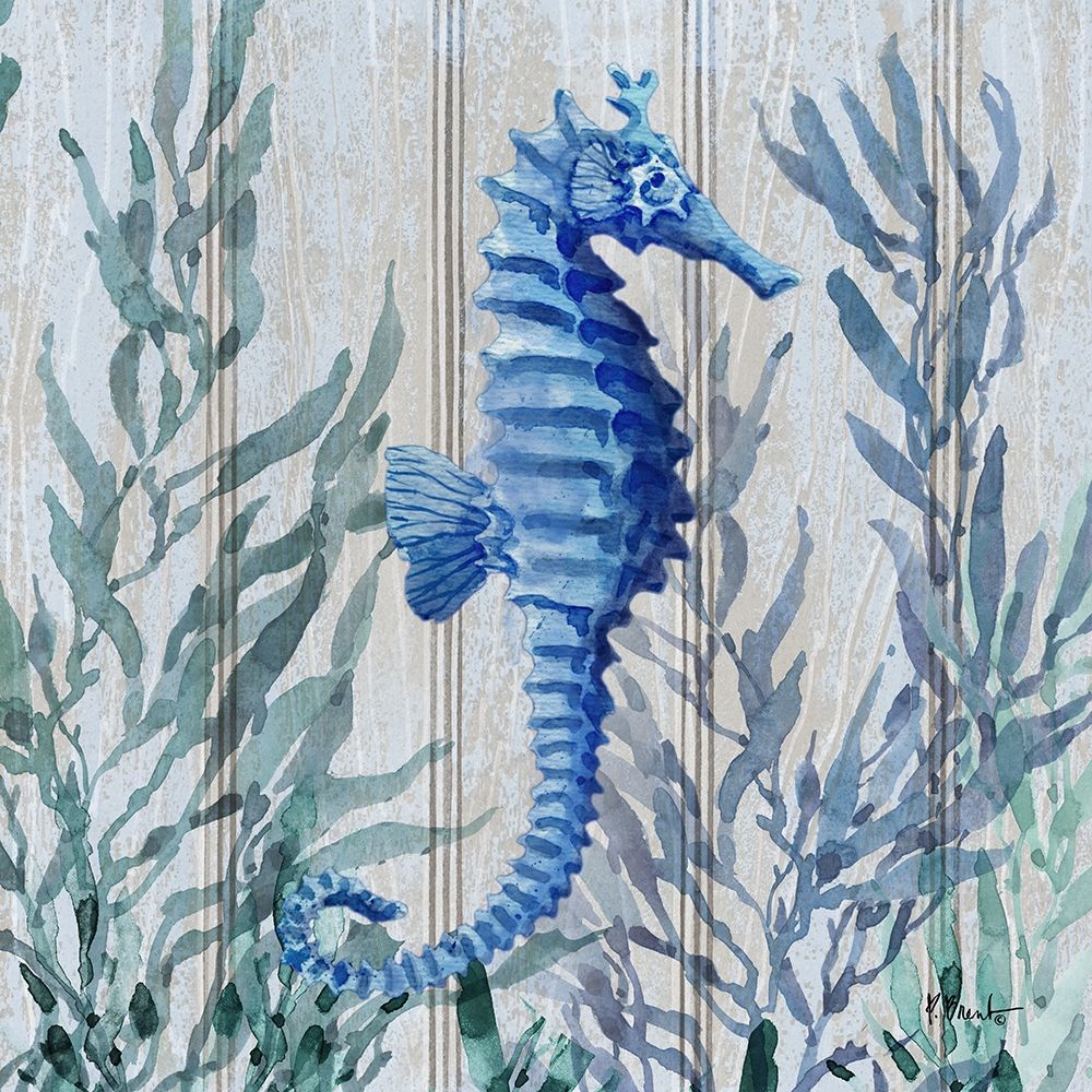 Navarre Sealife II art print by Paul Brent for $57.95 CAD