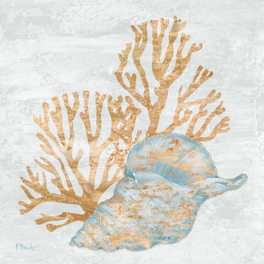 Shimmering Shells II art print by Paul Brent for $57.95 CAD