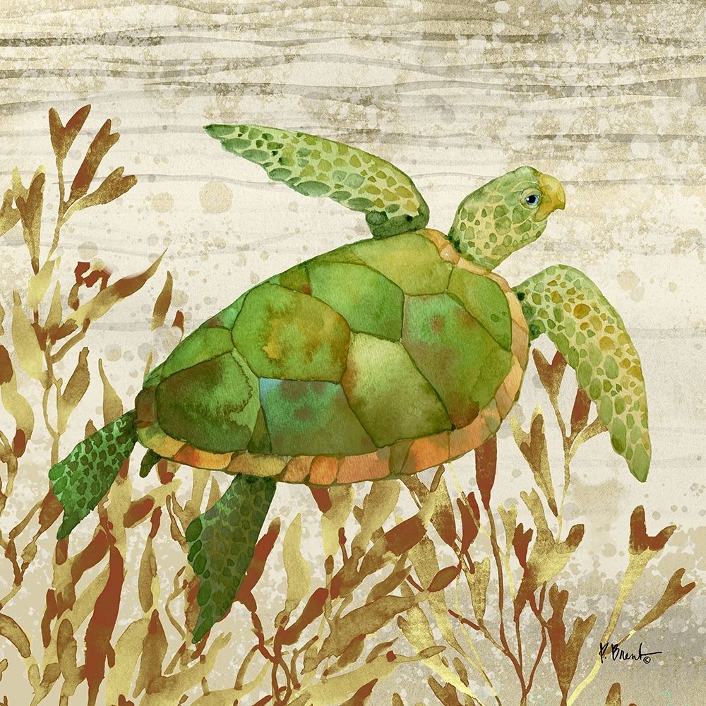 Calypso Turtles I art print by Paul Brent for $57.95 CAD