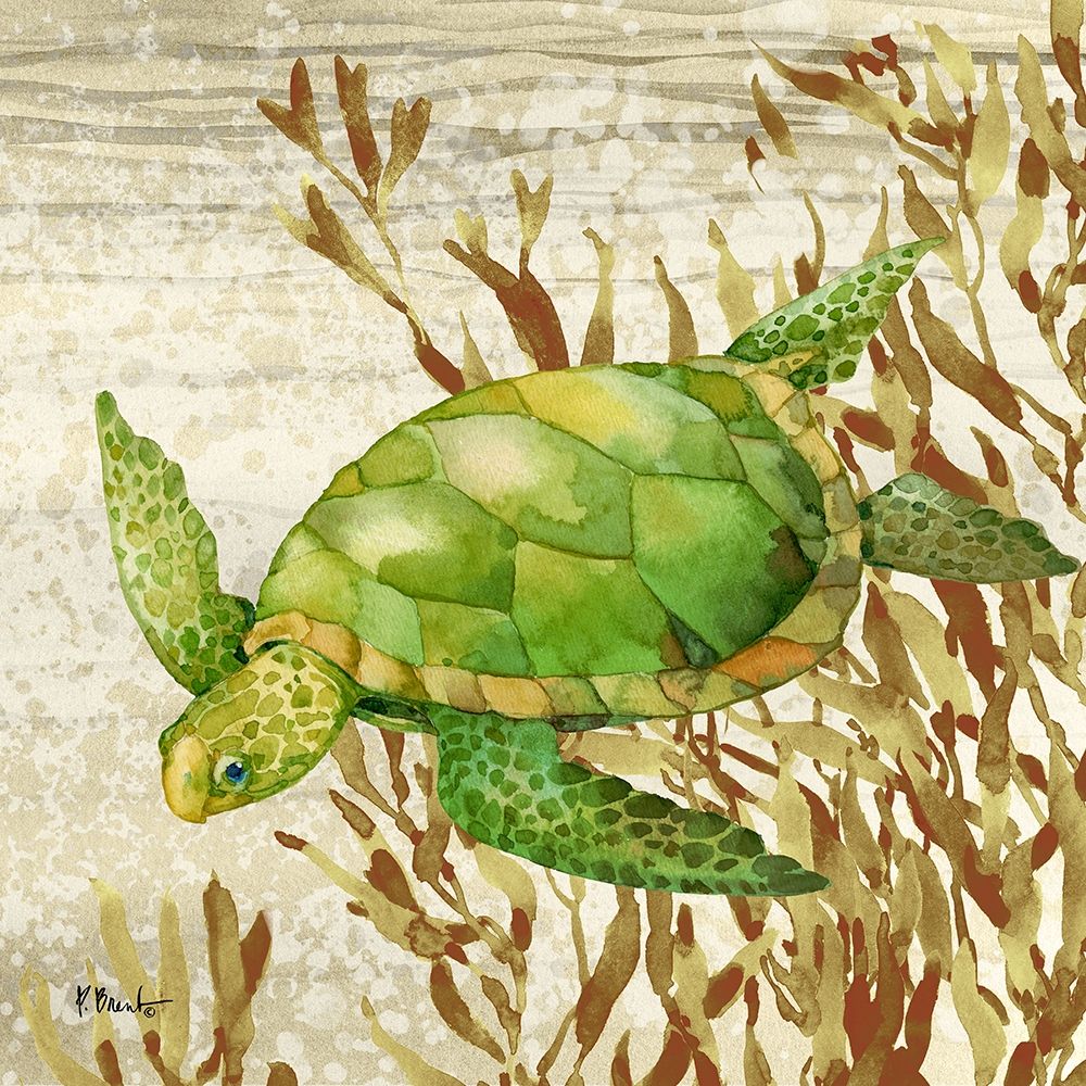 Calypso Turtles II art print by Paul Brent for $57.95 CAD