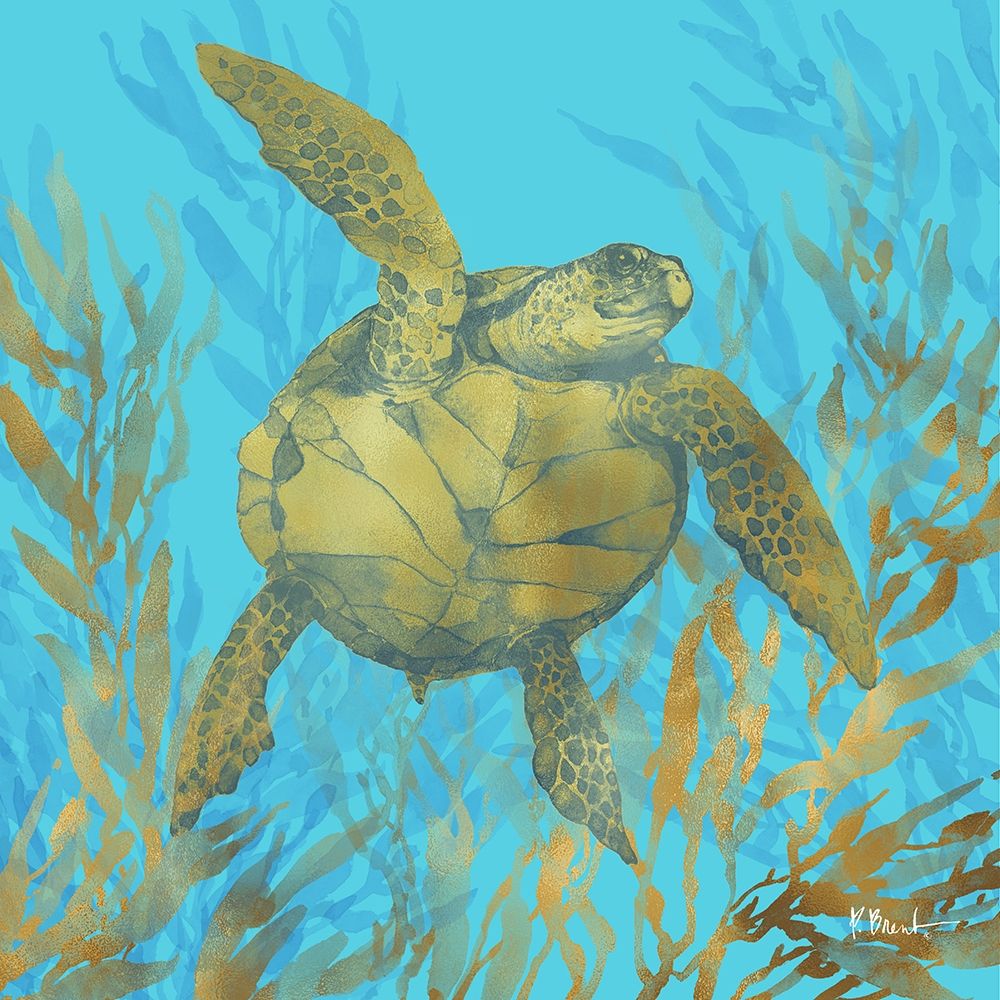 Cedar Key Turtle I art print by Paul Brent for $57.95 CAD