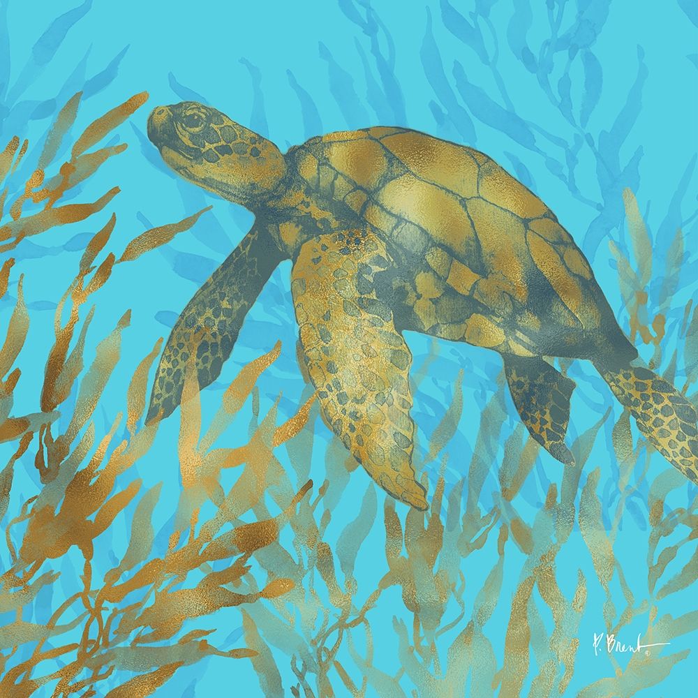 Cedar Key Turtle II art print by Paul Brent for $57.95 CAD