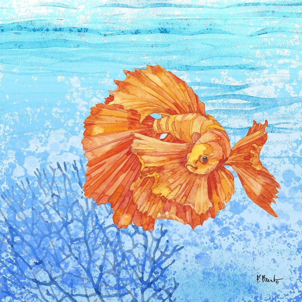 Thai Betta Fish I art print by Paul Brent for $57.95 CAD