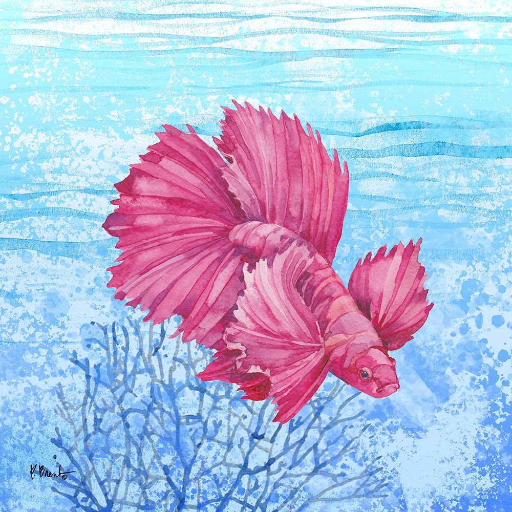 Thai Betta Fish II art print by Paul Brent for $57.95 CAD
