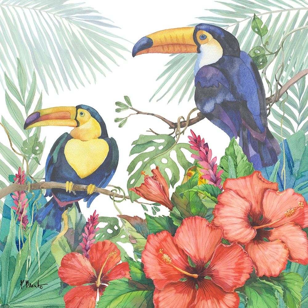 Tropical Fresh II art print by Paul Brent for $57.95 CAD
