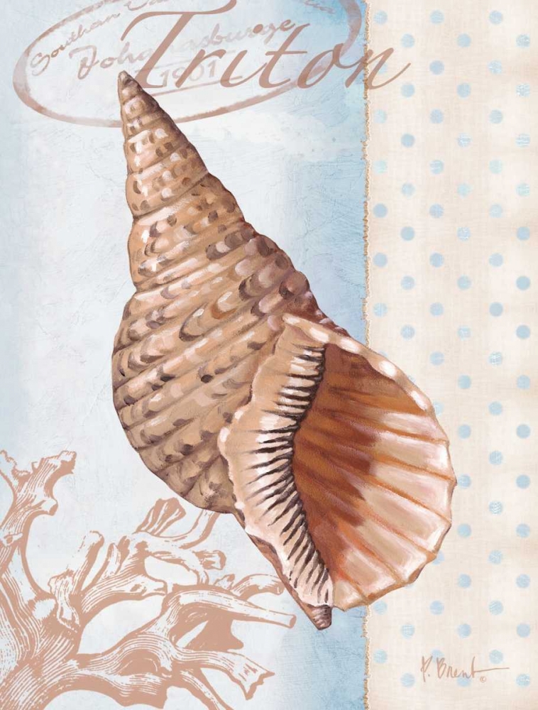 Beachhouse Blue II art print by Paul Brent for $57.95 CAD
